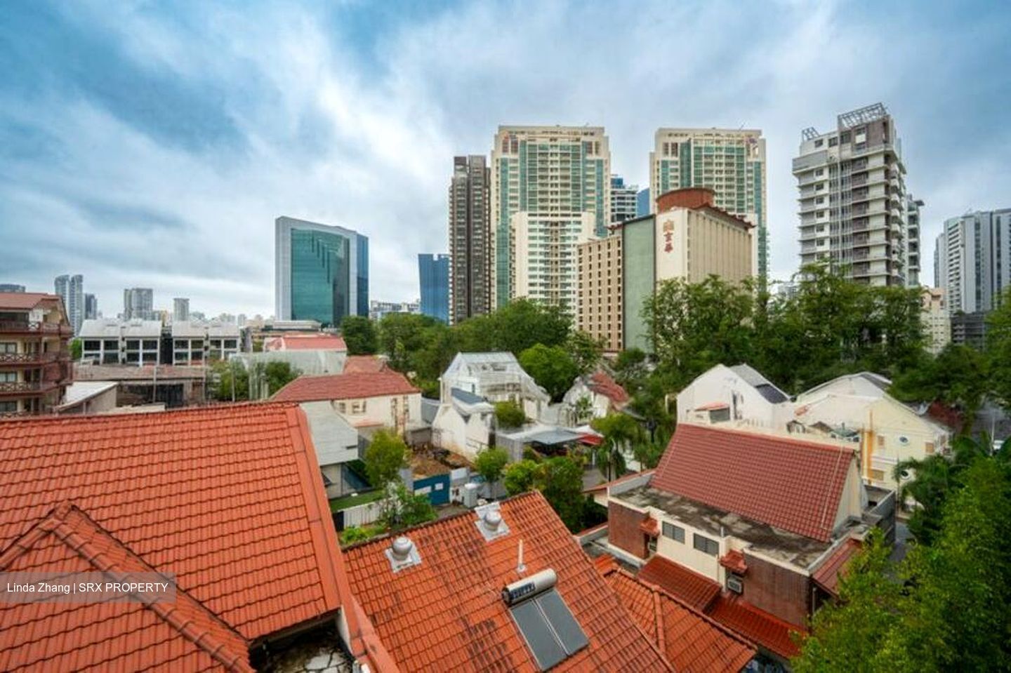 10 Evelyn (D11), Apartment #512120921